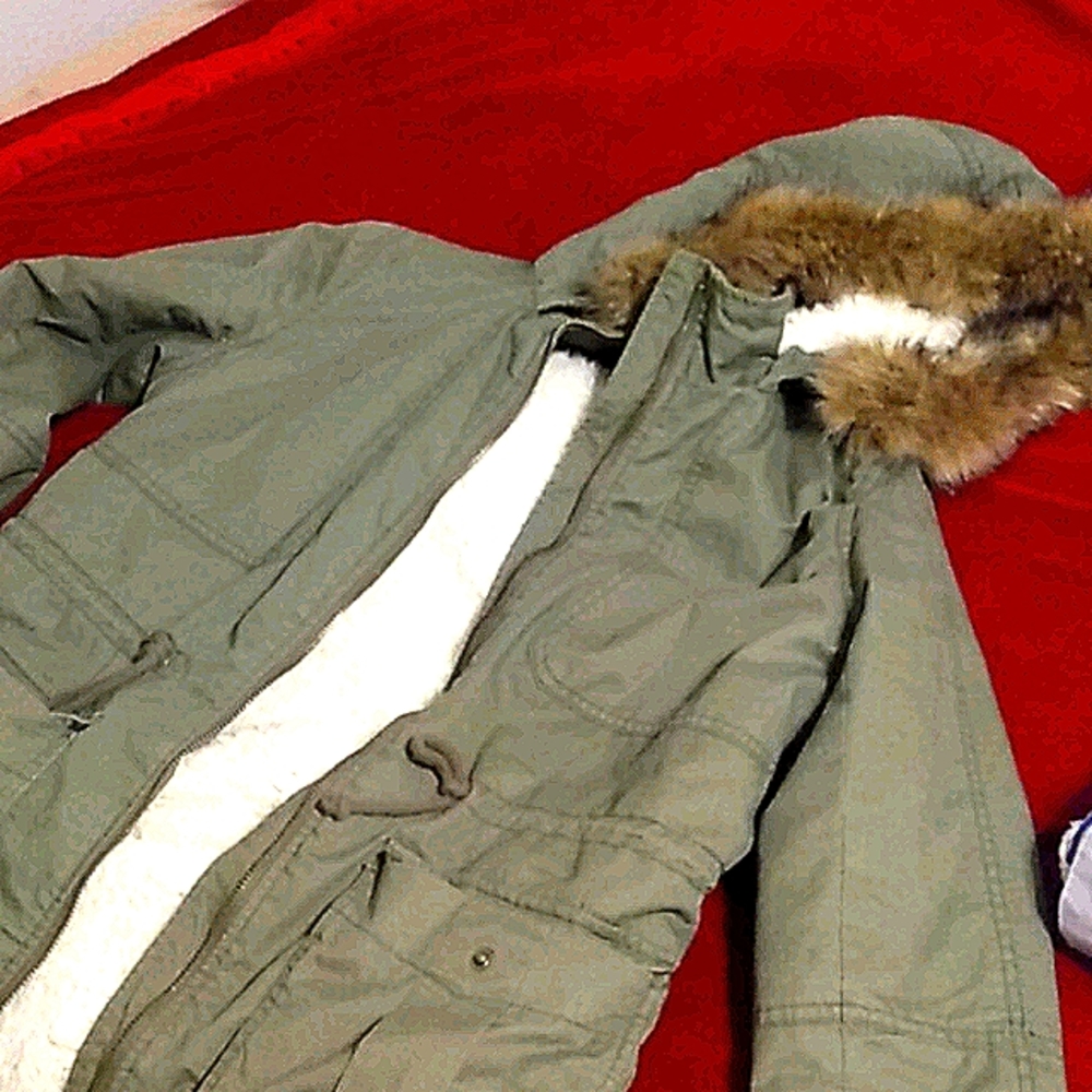 Gap Jacket